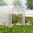 Walk-in Tunnel Greenhouse Galvanized Frame PE Cover-102299556-102299559