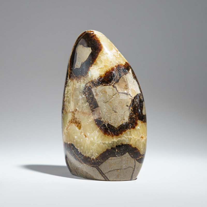 Forme libre de septaire poli de Madagascar (1,85 lb)