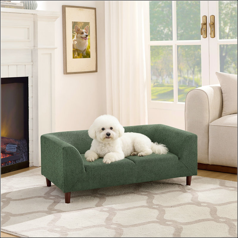 Canapé rectangulaire moderne pour animaux avec dossier et accoudoirs, coussin moelleux pour petits et moyens chiens