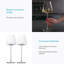 500ml Red Wine Glass-947240388
