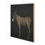 Burro Noche by Paul Meyer-424093370