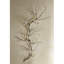 Twig Photographic Print-88478760
