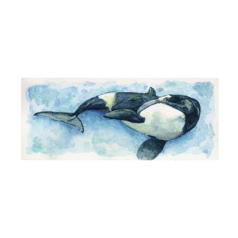 Anika Goodhue Laundromat Orca Canvas Art, 10" H x 24" W