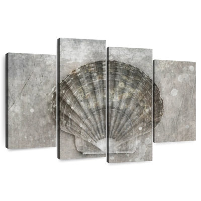 Aletra BW Scallop Seashell