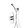 Twenties Shower Set: Long Hose, Handset, Wall Bracket and Water Intake