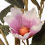 Magnolia artificiel 48 po en pot-1479749221