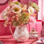 Rosy Check Pitcher