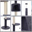 220cm H Cat Tree-1836854392