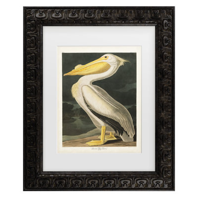 Canvas Art " American White Pelican " Painting