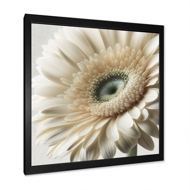 Gerbera blanche III - art mural Gerbera, Cadre photo noir, H 16 po x l 16 po