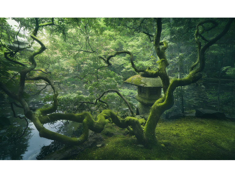 Wrapped Canvas Print, 50.8 cm H x 76.2 cm W