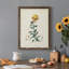 Toile encadrée de qualité supérieure Traditional Botanical III - prête à être accrochée-267675585-267675586