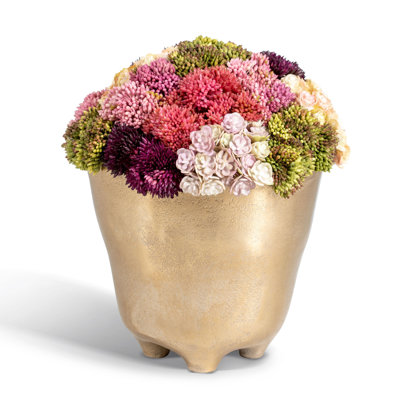 Arrangement de Sedum Florence