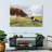 Brampt Border Collie And Cow-107707389
