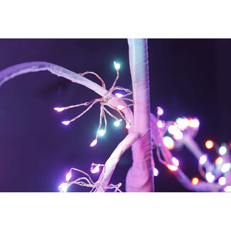 LED Holiday Lighting