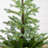 White 3' Pre-Lit Pine Christmas Tree