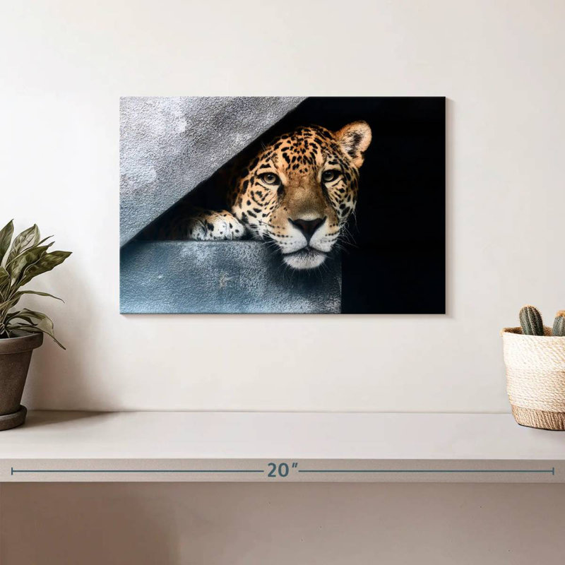 Brampt Peeking Jaguar, 8" H x 12" W