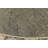 Wilhoit Abstract Indoor Rug-1129810674