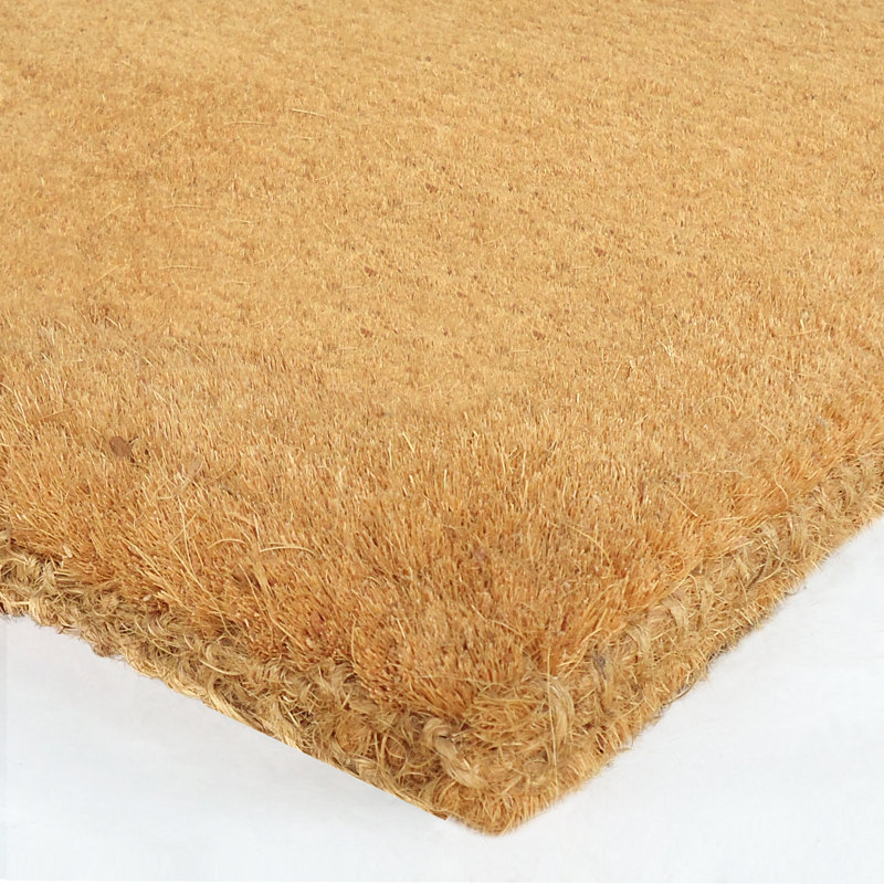 Aponte Non-Slip Outdoor Doormat