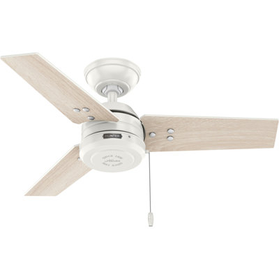 Ventilateur de plafond 36 po Cassius Hunter