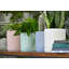 Pot cylindrique à pois (sans soucoupe), pot moyen en céramique émaillée (lot de 2) - Intérieur/Extérieur-1981539678