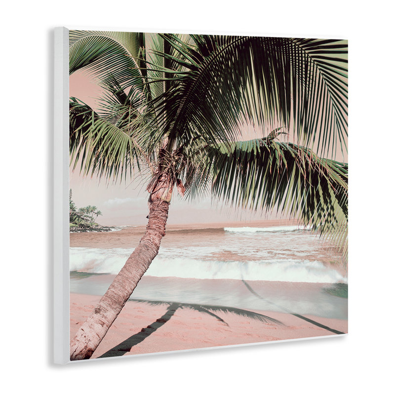 «Palm Tree Shadow on Sand», art mural par Danita Delimont