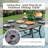 Carli 6 - Person Patio Dining Set with Rectangular Table , Cushions Included