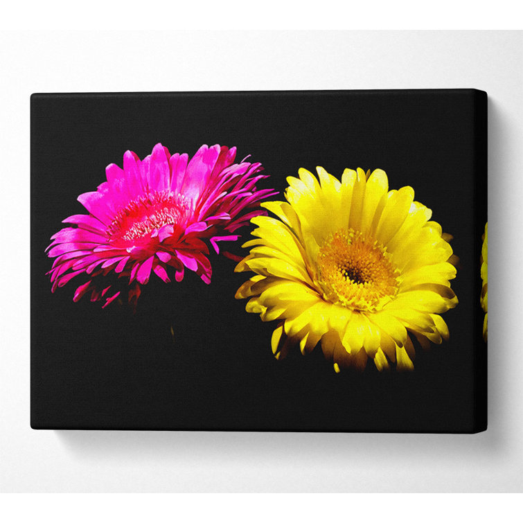 Pink And Yellow Gerbera Delight - Wrapped Canvas Print