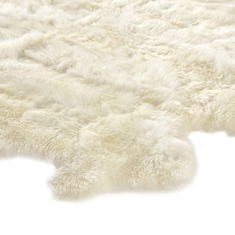Lalo Sheepskin Area Rug in Cream, Novelty 4'5'' x 5'75''
