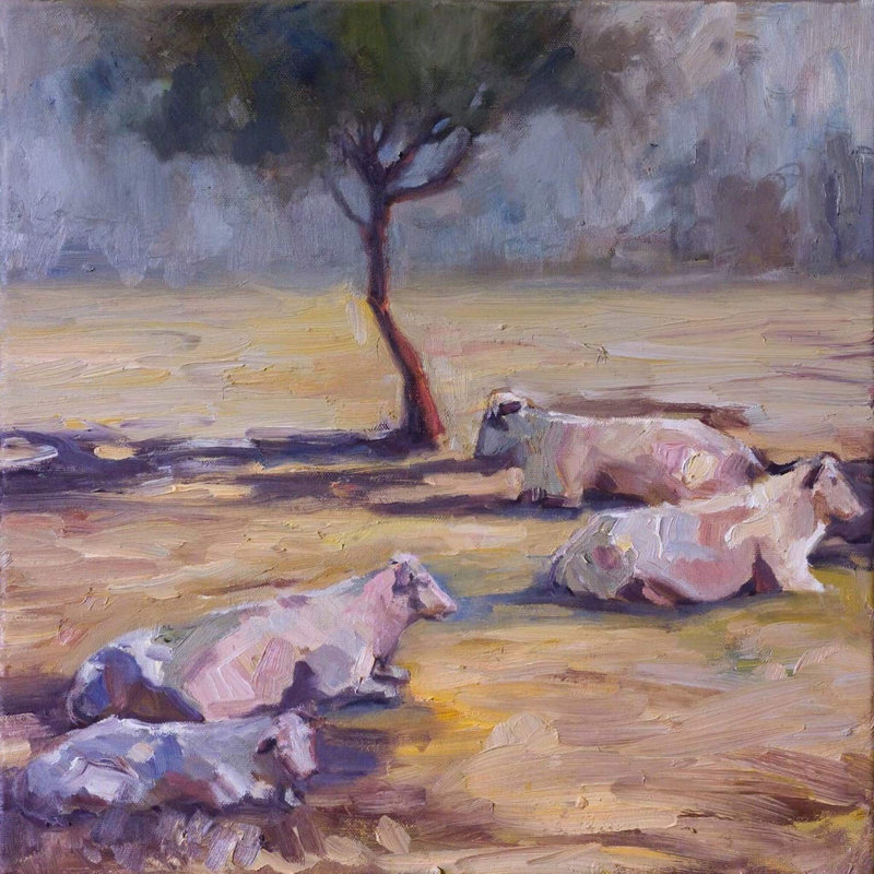 «Resting Cows» - reproduction d'art sur toile, H 20 po x l 20 po x P 1 po, Toile tendue