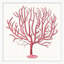 Red Branch Coral 5 Print by Lillian August