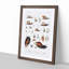 Snails & Shells by A.A. Gould - Picture Frame Art Prints-55618755-55618757