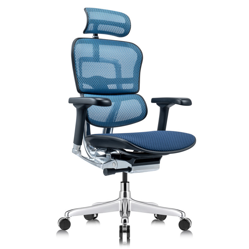 Tempur-Pedic Ergohuman GEN2 Hi Back Ergonomic Office Chair with Tempur-Pedic Seat, Synchro-Tilt, Adjustable Headrest, Arm Height Adjustment