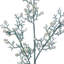Jet de corail scintillant 26 "avec perles