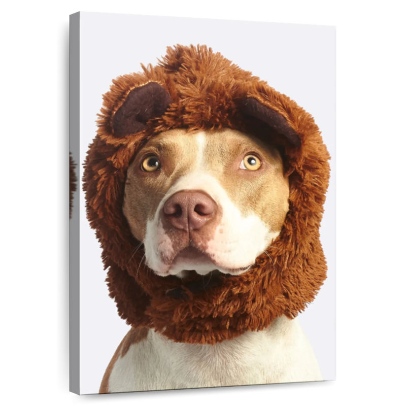 Bandeau en fourrure de chien Brampt, H 36 po x l 24 po