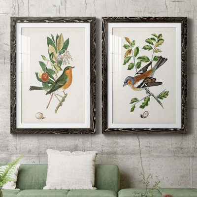 Oiseau antique, botanique et œuf I - ensemble de 2 reproductions d'art sur papier encadré