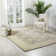 Morristown Performance Wool Oriental Indoor Rug