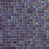 Plum selected