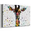 Motley Crew in Colour II -Gallery Wrapped Canvas-1800110666