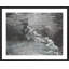 Lunch Time Splash 1 Print by Studio L57 Narrative-1119804254