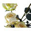 Plastic, Silk Artificial Arrangement-88685035