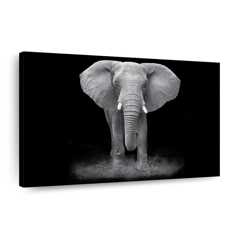 Elephant Zone Canvas Print, 16" H x 24" W x 1.25" D