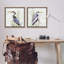 Ensemble de 2 toiles flottantes encadrées dorées "Coastal Birds on Birch" par Elena Vladykina-426738671-426738664