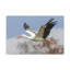 Wall Art on Canvas-829047343