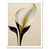 White Framed Paper is out of stock