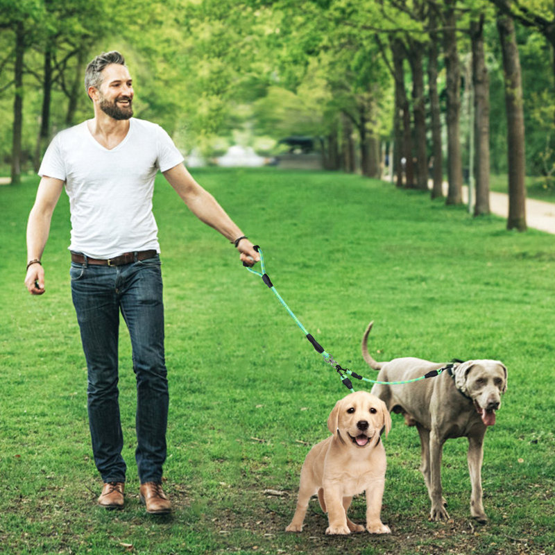 Double laisse pour chien