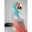Macaw Bird Vase-800689225
