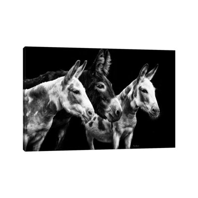 «Donkey Portrait II» par Phburchett - reproduction de photo sur toile tendue