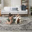 Oriental Power-loomed 201cm X 290cm Area Rug
