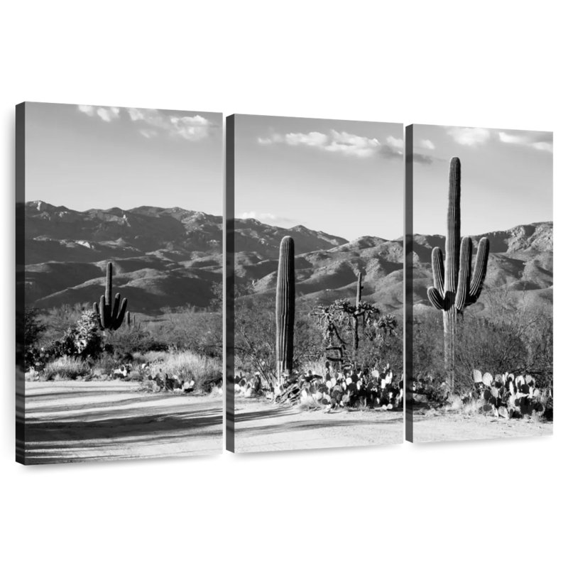 Sebbie - Arizona noir - Sentinelle du Sud-Ouest, H 36 po x l 57 po